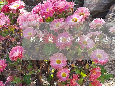 韶关处理房屋产权法律问题律师 韶关处理房屋产权法律问题律师