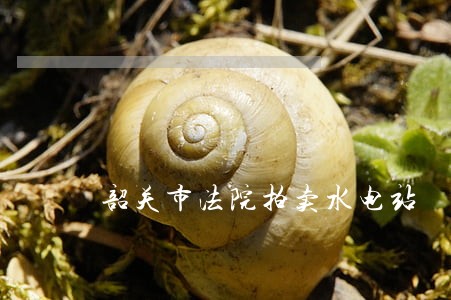 韶关市法院拍卖水电站 韶关市法院拍卖水电站