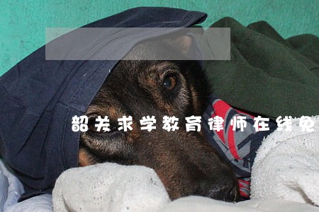 韶关求学教育律师在线免费咨询 韶关求学教育律师在线免费咨询