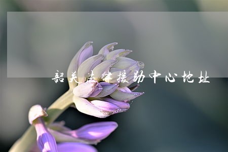 韶关法律援助中心地址 韶关法律援助中心地址