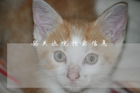 韶关法院拍卖信息