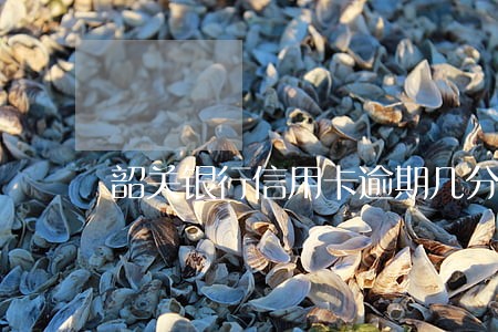 韶关银行信用卡逾期几分钟