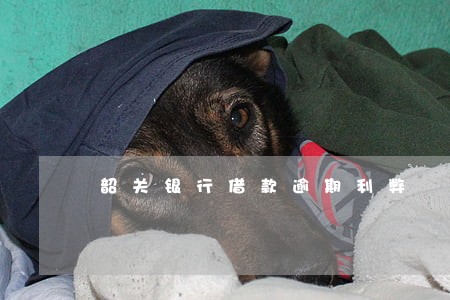 韶关银行借款逾期利弊