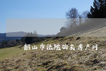 韶山市法院拍卖房产网