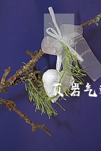 页岩气逾期申请书 页岩气逾期申请书
