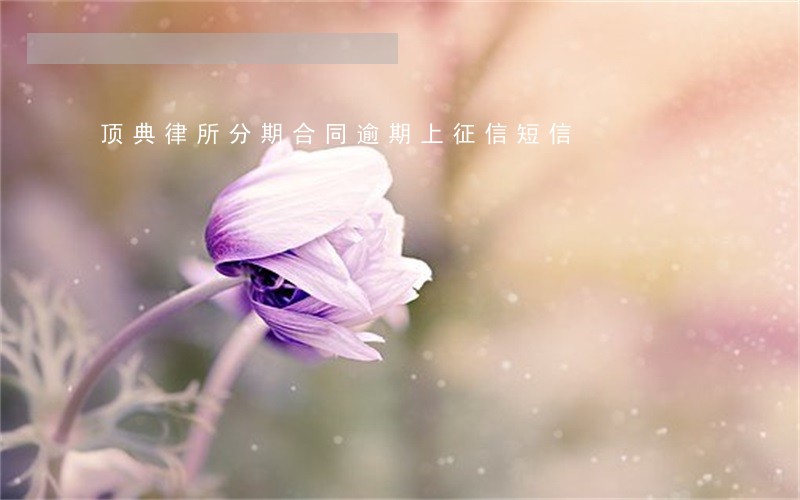 顶典律所分期合同逾期上征信短信 顶典律所分期合同逾期上征信短信