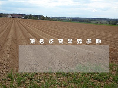 顶名还贷导致逾期 顶名还贷导致逾期