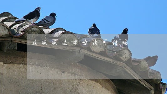 顶呱呱法律咨询可信吗 顶呱呱法律咨询可信吗