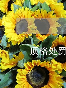 顶格处罚11项交通违法行为 顶格处罚11项交通违法行为
