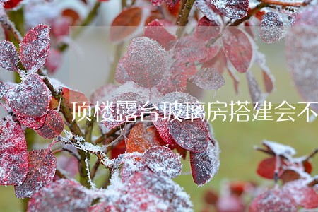 顶楼露台玻璃房搭建会不会违法