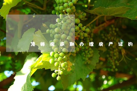 顶账房逾期办理房产证的违约金 顶账房逾期办理房产证的违约金