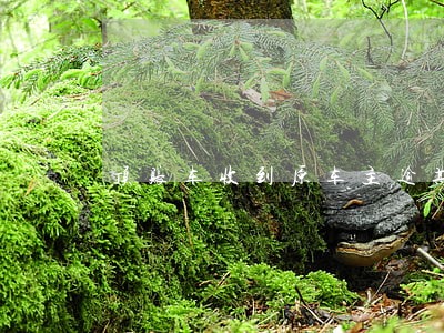 顶账车收到原车主逾期的短信 顶账车收到原车主逾期的短信