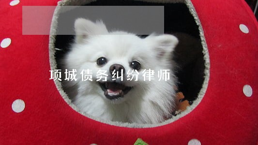 项城债务纠纷律师 项城债务纠纷律师