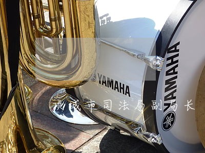 项城市司法局副局长