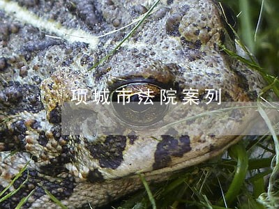 项城市法院案列 项城市法院案列