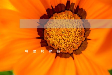项建民律师