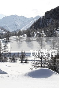 项晟律师 项晟律师
