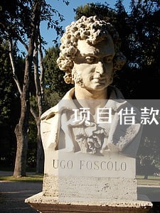 项目借款逾期未还说明 项目借款逾期未还说明