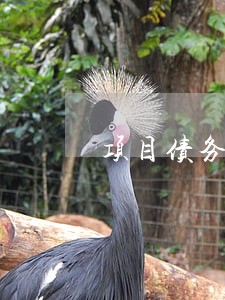 项目债务债权案件律师有哪些 项目债务债权案件律师有哪些
