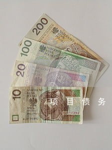 项目债务清偿律师特点
