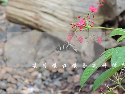 项目债权债务案件律师品质保障 项目债权债务案件律师品质保障