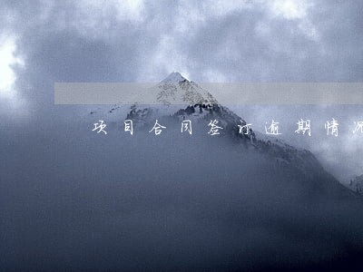 项目合同签订逾期情况说明 项目合同签订逾期情况说明