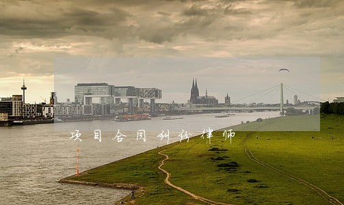 项目合同纠纷律师 项目合同纠纷律师