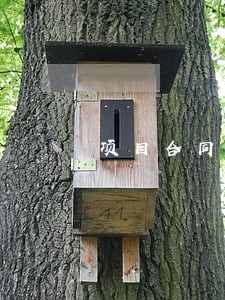 项目合同逾期滞纳金怎么算 项目合同逾期滞纳金怎么算