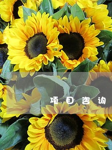 项目咨询服务合同逾期交付 项目咨询服务合同逾期交付