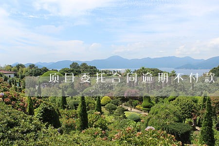 项目委托合同逾期不付款 项目委托合同逾期不付款
