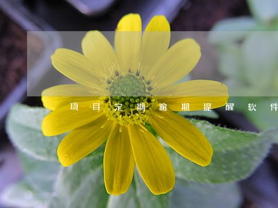 项目定期逾期提醒软件功能介绍 项目定期逾期提醒软件功能介绍