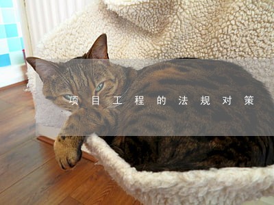 项目工程的法规对策