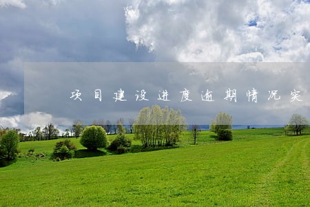 项目建设进度逾期情况突出 项目建设进度逾期情况突出