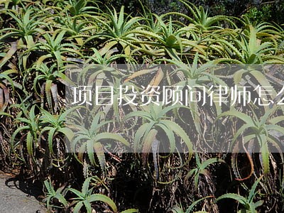 项目投资顾问律师怎么样 项目投资顾问律师怎么样