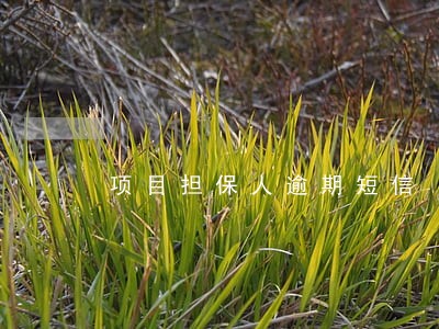 项目担保人逾期短信 项目担保人逾期短信