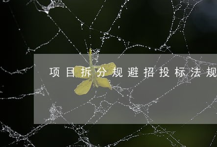 项目拆分规避招投标法规 项目拆分规避招投标法规