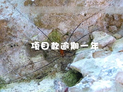 项目款逾期一年 项目款逾期一年