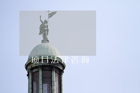 项目法律咨询