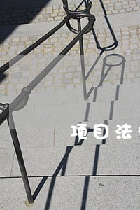 项目法律咨询援助 项目法律咨询援助