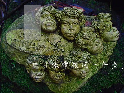 项目法律顾问一年多少钱 项目法律顾问一年多少钱