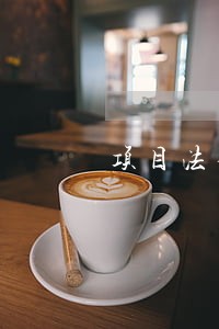 项目法律顾问免费咨询 项目法律顾问免费咨询