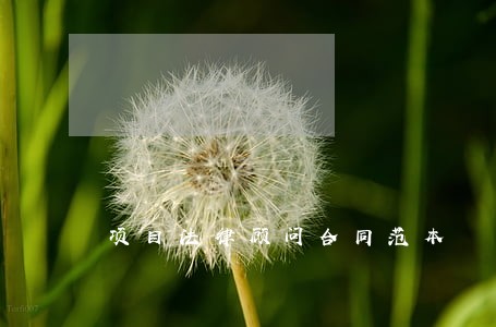 项目法律顾问合同范本 项目法律顾问合同范本