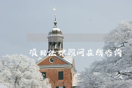 项目法律顾问在线咨询 项目法律顾问在线咨询