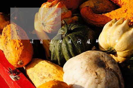 项目法律顾问履职清单 项目法律顾问履职清单