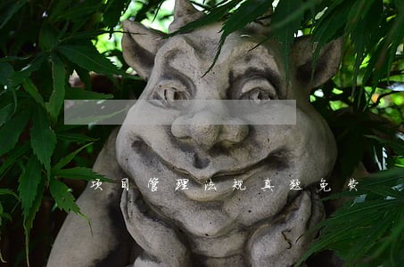 项目管理法规真题免费