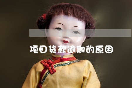 项目货款逾期的原因