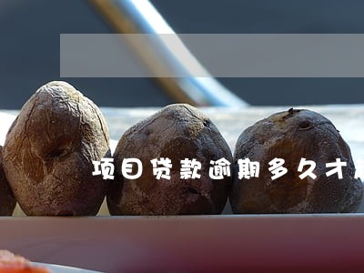 项目贷款逾期多久才起诉 项目贷款逾期多久才起诉