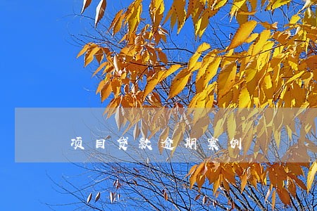 项目贷款逾期案例 项目贷款逾期案例