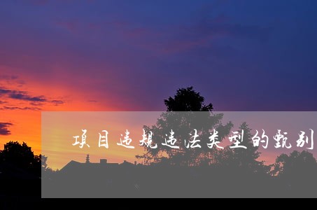 项目违规违法类型的甄别 项目违规违法类型的甄别