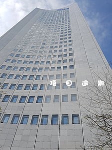 项目逾期交付违约金 项目逾期交付违约金
